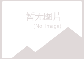 南宫山柳会计有限公司